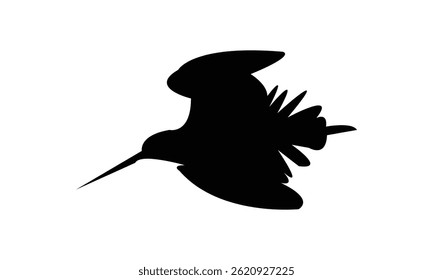 Flying African snipe bird Silhouette Design  And Vector Illustration. 