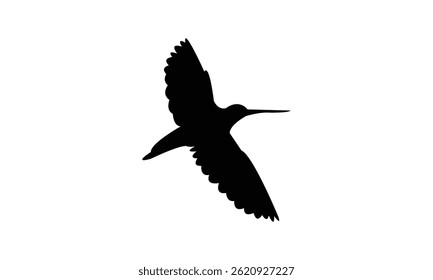 Flying African snipe bird Silhouette Design  And Vector Illustration. 