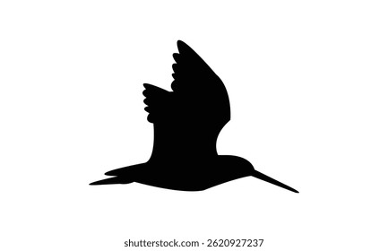 Flying African snipe bird Silhouette Design  And Vector Illustration. 