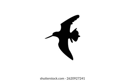 Flying African snipe bird Silhouette Design  And Vector Illustration. 