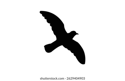 Flying Ainley's storm petrel bird Silhouette Design  And Vector Illustration. 
