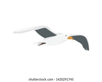 Flying Albatross Bird Isolated. Vector