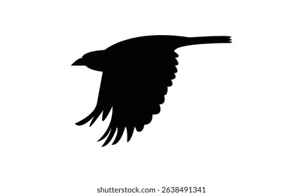 Flying Altamira oriole bird Silhouette Design  And Vector Illustration. 