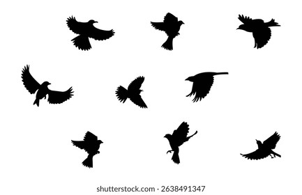 Flying Altamira oriole bird Silhouette Design  And Vector Illustration. 