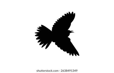 Flying Altamira oriole bird Silhouette Design  And Vector Illustration. 