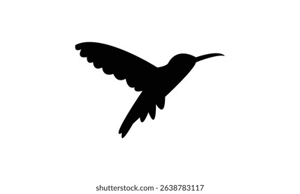 Flying Amazilia hummingbird Silhouette Design  And Vector Illustration. 