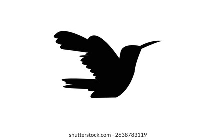 Flying Amazilia hummingbird Silhouette Design  And Vector Illustration. 