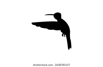 Flying Amazilia hummingbird Silhouette Design  And Vector Illustration. 