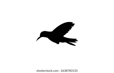 Flying Amazilia hummingbird Silhouette Design  And Vector Illustration. 