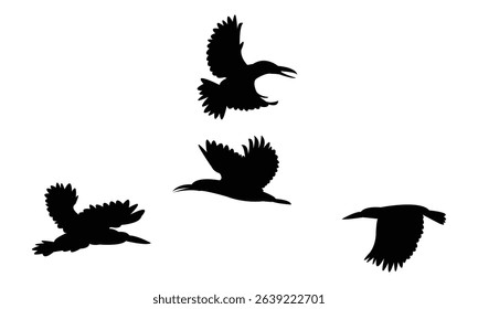 Flying Amazon kingfisher bird Silhouette Design  And Vector Illustration. 
