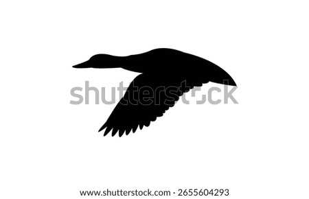 Flying American black duck bird Silhouette Design  And Vector Illustration. 
