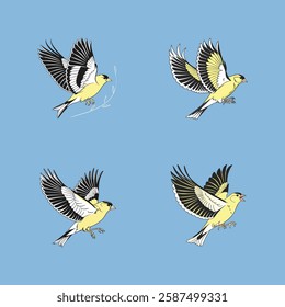 Flying American Goldfinch on a white background, perfect for nature, wildlife, and bird-themed projects.