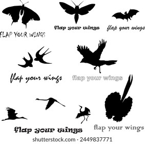 
flying animal silhouettes eps, vector, butterfly, bird, stork, background, pattern