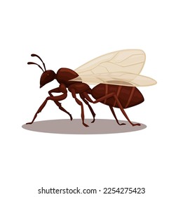 Flying ant animal species cartoon illustration vector