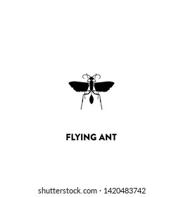 flying ant icon vector. flying ant sign on white background. flying ant icon for web and app