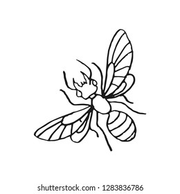 flying ant vector doodle sketch isolated on white background