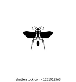 flying ant vector icon. flying ant sign on white background. flying ant icon for web and app