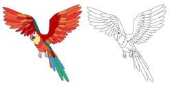 Flying Ara Parrot Cartoon, Page For Coloring Book. Line Contour And Sample Coloring Of Parrot.