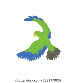 Flying aratinga or macaw parrot with green plumage flat vector illustration isolated on white background. South American or tropical parrot bird with colorful feathers.