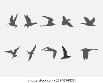 fliegender arktischer Tundra-Vogel, Vektorsilhouette .jegger-Vogel, schwarze Schattengrafik 