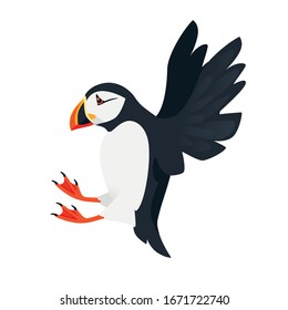 Flying atlantic puffin bird cartoon animal design flat vector illustration isolated on white background svg