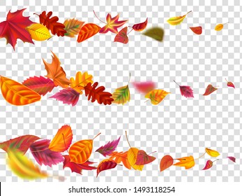 Flying autumn leaves. Fall leaf banner, yellow garden leafage fly. September and october foliage leaves fall swirl motion. Realistic isolated vector illustration set