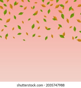 Flying autumn leaves. Fall season concept. Space for text. Vector illustration.