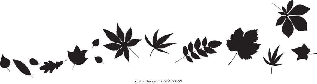Flying autumn leaves silhouette pattern trailing across the frame, wind blowing fall foliage in dynamic motion, minimalist black and white botanical background