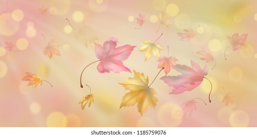 Flying autumn maple leaves. Vector background with blurred transparent elements