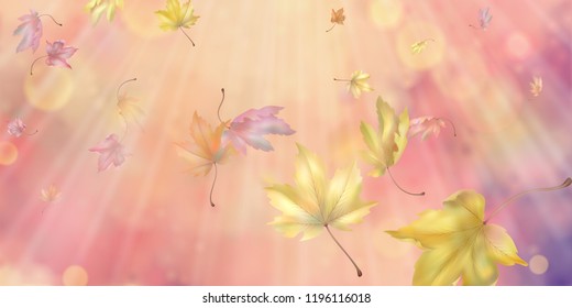 Flying autumn maple leaves. Vector background with blurred transparent elements
