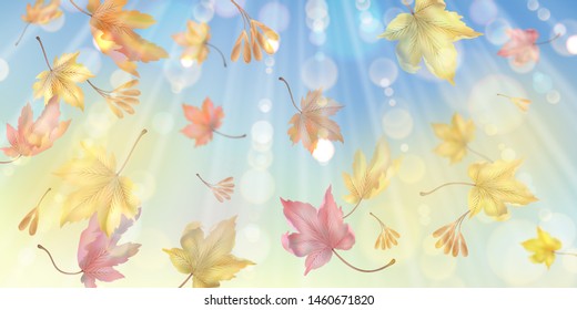 Flying autumn maple leaves. Vector fall abstract background