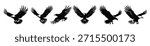 flying bald eagle black silhouette set bald eagle