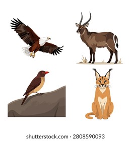 Flying bald eagle, waterbuck, small bird, and sitting caracal wild cat vector set.