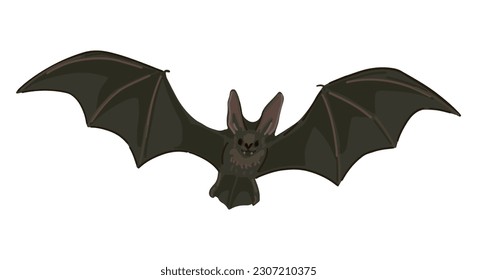 Flying bat clipart isolated on white. Cartoon style drawing of nocturnal wild animal. Halloween creepy fauna modern vector illustration..