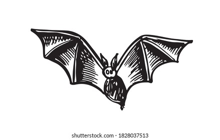 Flying bat, grunge illustration, vector.