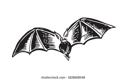 Flying bat, grunge illustration, vector.