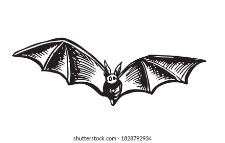 Flying bat, grunge illustration, vector.