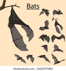 flying bat for halloween, illustration