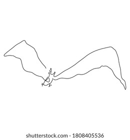 Bate volador. Esbozo de doodles dibujado a mano. Silueta lineal blanca y negra.