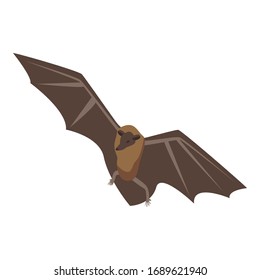 Flying bat icon. Isometric of flying bat vector icon for web design isolated on white background