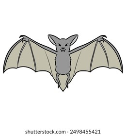 flying bat illustration hand drawn isolated vector