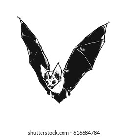 Flying bat. Little vampire. Gothic illustration. Halloween style. Drawn bat. 