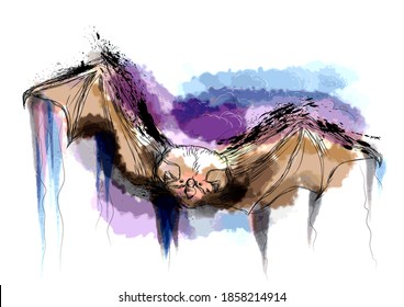 flying bat on abstract grunge multicolor background