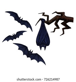 Flying bat, scary Halloween sketch illustration. Vector