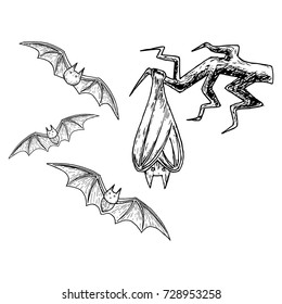 Flying Bat, Scary Halloween Sketch Illustration. Vector