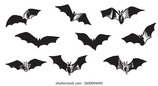 Flying bat set, grunge illustration. Vector.