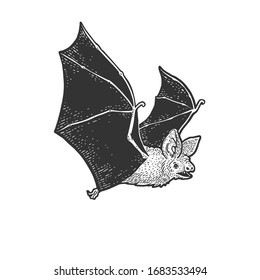 flying bat sketch engraving vector illustration. T-shirt apparel print design. Scratch board imitation. Black and white hand drawn image.