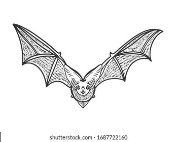 flying bat sketch engraving vector illustration. T-shirt apparel print design. Scratch board imitation. Black and white hand drawn image.