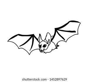 Flying bat vector illustration. Hand drawn Halloween symbol, black and white cartoon drawing isolated on white background.