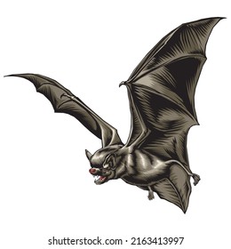 Flying Bat Vector Illustration. Vampire Bat Isolated On A White Background

